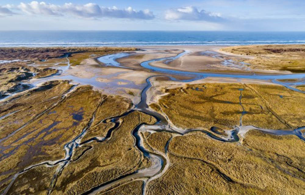 Secretaris bij IVN Texel